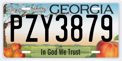 GA license plate PZY3879