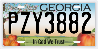 GA license plate PZY3882