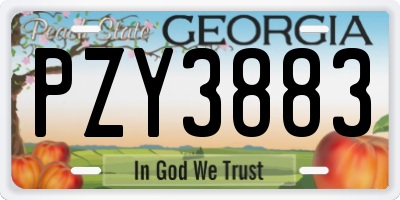 GA license plate PZY3883