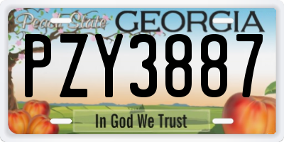 GA license plate PZY3887