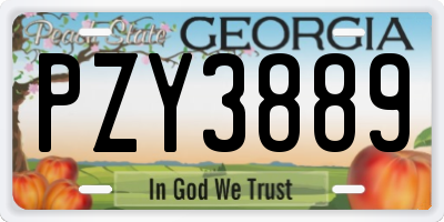 GA license plate PZY3889