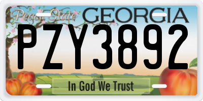 GA license plate PZY3892