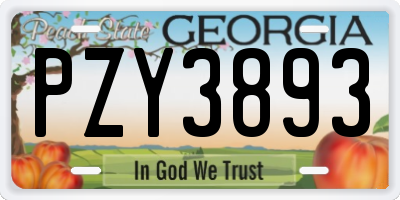 GA license plate PZY3893
