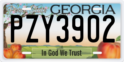 GA license plate PZY3902