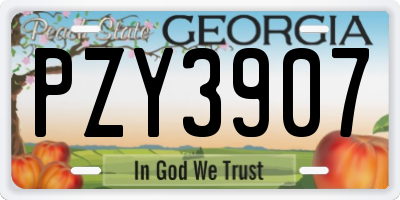GA license plate PZY3907