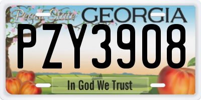 GA license plate PZY3908