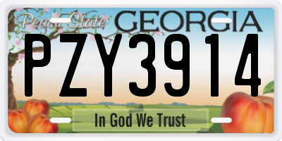 GA license plate PZY3914