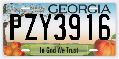 GA license plate PZY3916