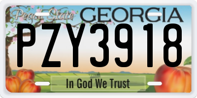 GA license plate PZY3918