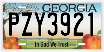 GA license plate PZY3921