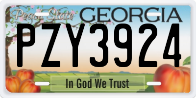 GA license plate PZY3924