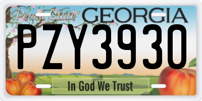 GA license plate PZY3930