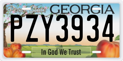 GA license plate PZY3934