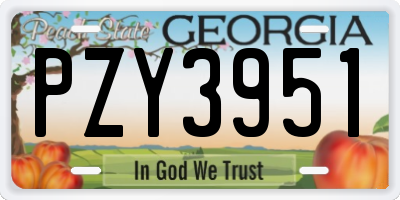 GA license plate PZY3951