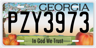 GA license plate PZY3973