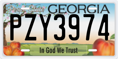 GA license plate PZY3974