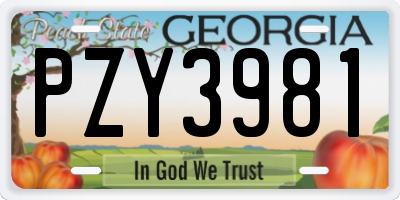 GA license plate PZY3981