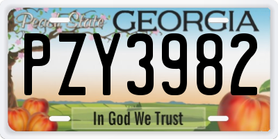 GA license plate PZY3982