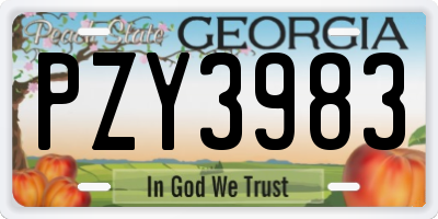 GA license plate PZY3983