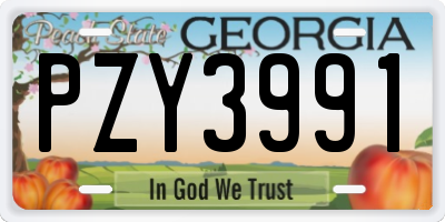GA license plate PZY3991
