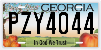 GA license plate PZY4044