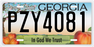 GA license plate PZY4081