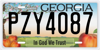GA license plate PZY4087
