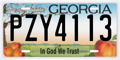 GA license plate PZY4113