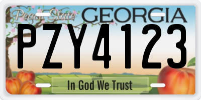 GA license plate PZY4123
