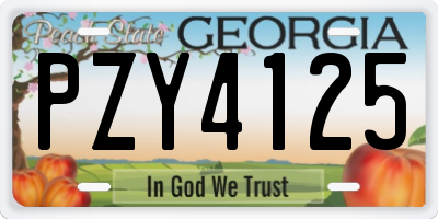 GA license plate PZY4125
