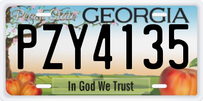GA license plate PZY4135