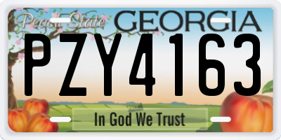 GA license plate PZY4163