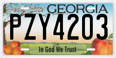 GA license plate PZY4203