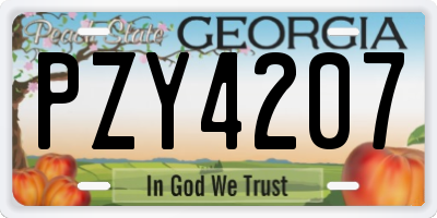 GA license plate PZY4207
