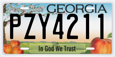 GA license plate PZY4211