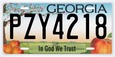 GA license plate PZY4218