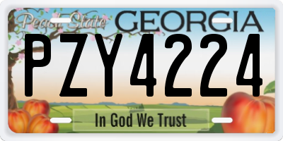 GA license plate PZY4224