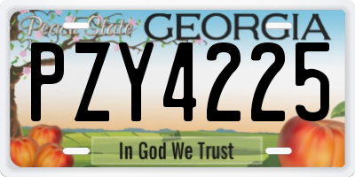 GA license plate PZY4225