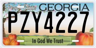 GA license plate PZY4227