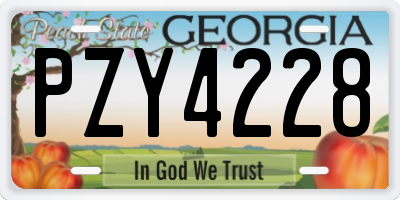 GA license plate PZY4228