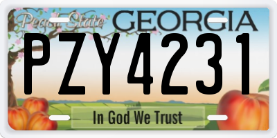 GA license plate PZY4231