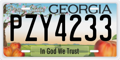 GA license plate PZY4233