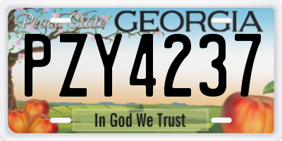 GA license plate PZY4237