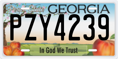 GA license plate PZY4239