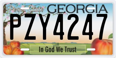 GA license plate PZY4247