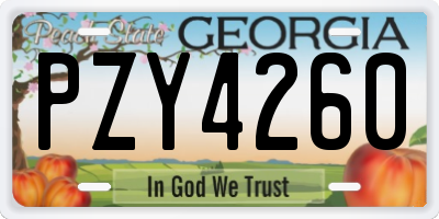 GA license plate PZY4260