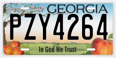 GA license plate PZY4264