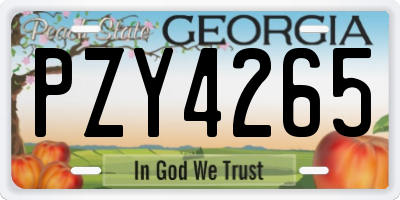 GA license plate PZY4265