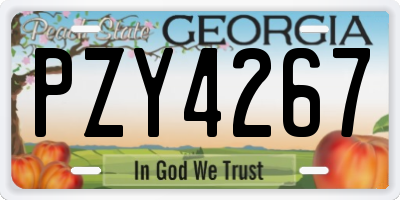 GA license plate PZY4267