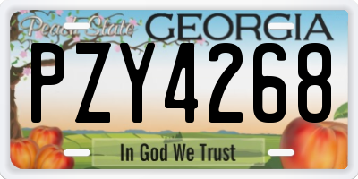 GA license plate PZY4268